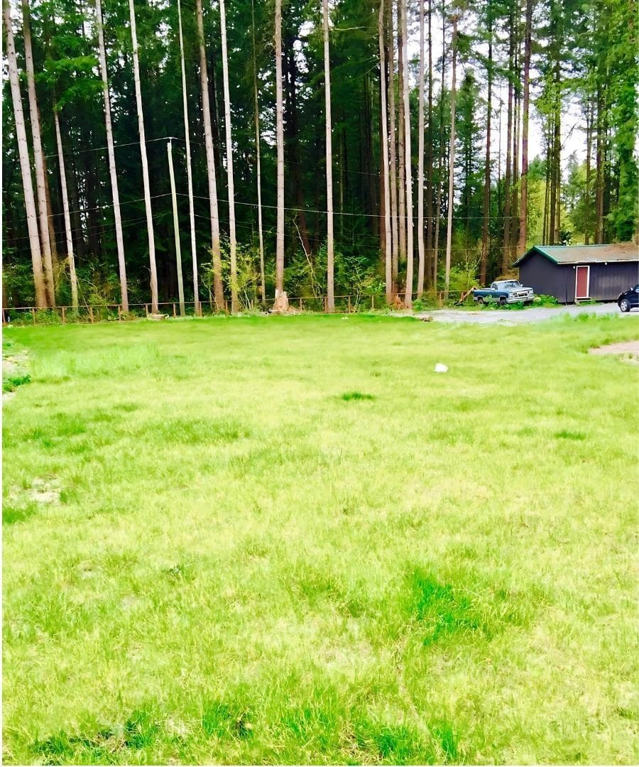 20308 27 AVENUE photo 3