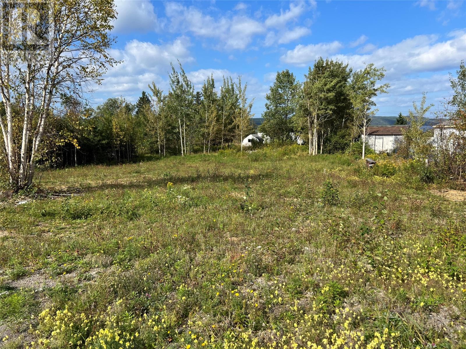 vacant land at 1 Hopkins Road — $19,900