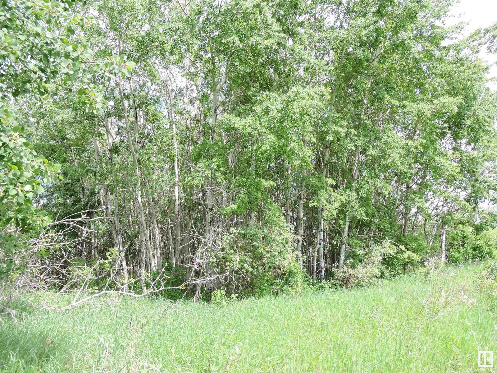 Range Road 103 Township 564 — photo 2