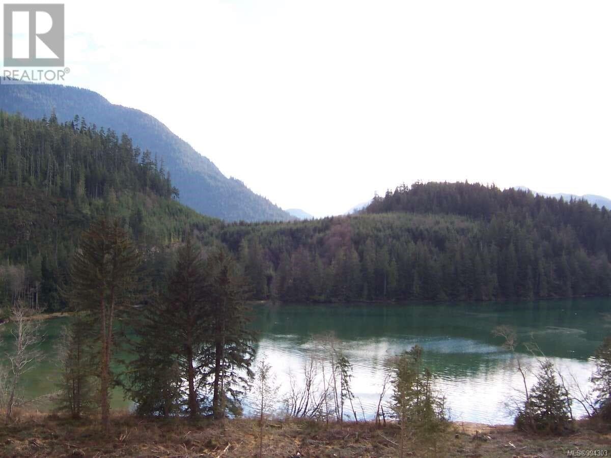 DL 704 Bessborough Bay photo 3