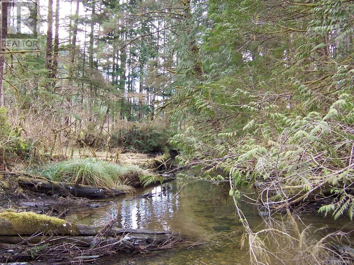 DL 704 Bessborough Bay photo 5