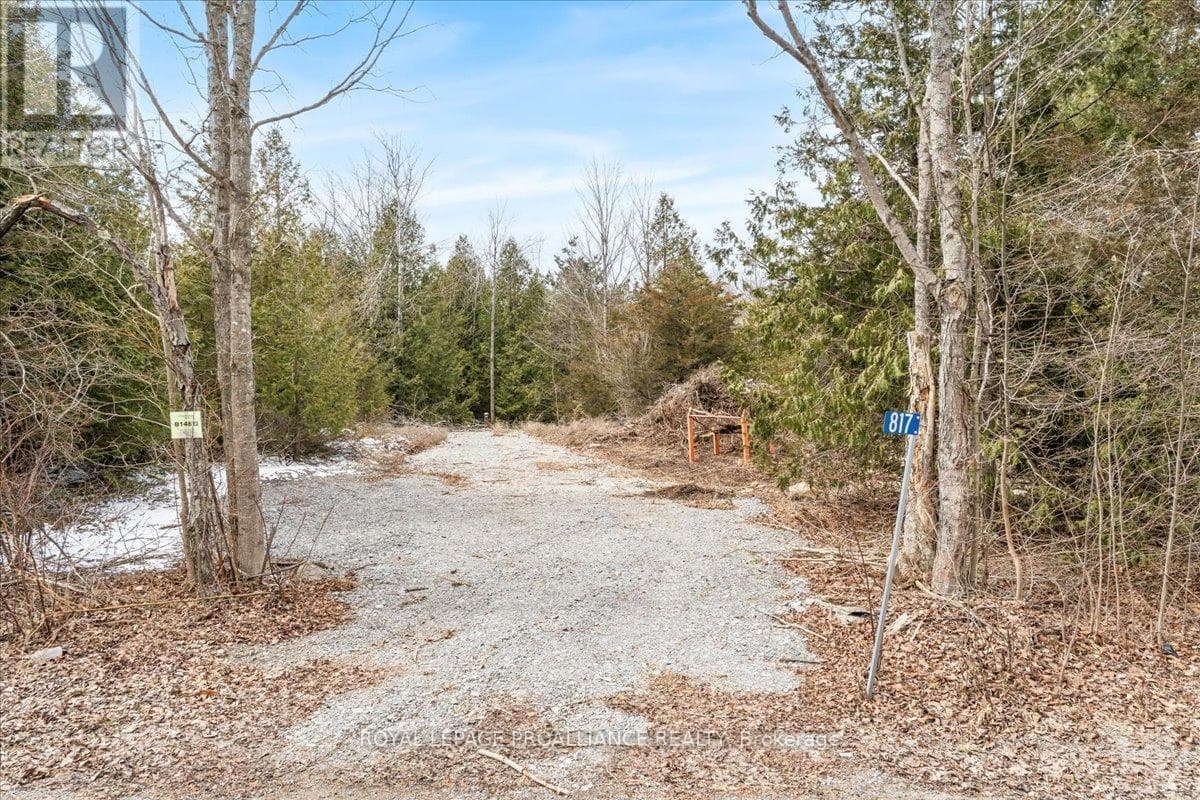 817 CARSON ROAD photo 2