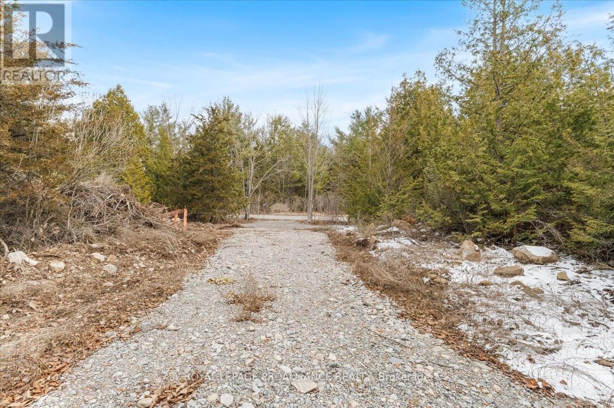 817 CARSON ROAD photo 5