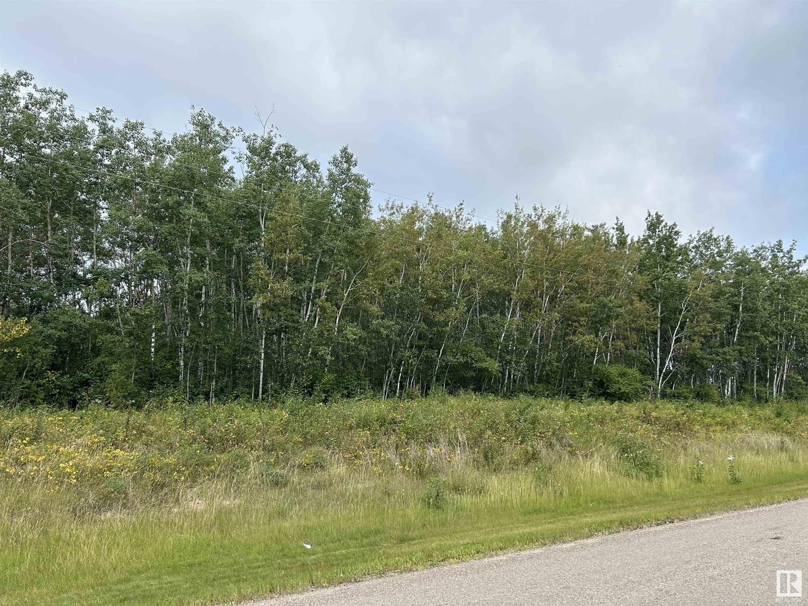 SE 26 62 1 W4 RGE RD 411A — photo 2