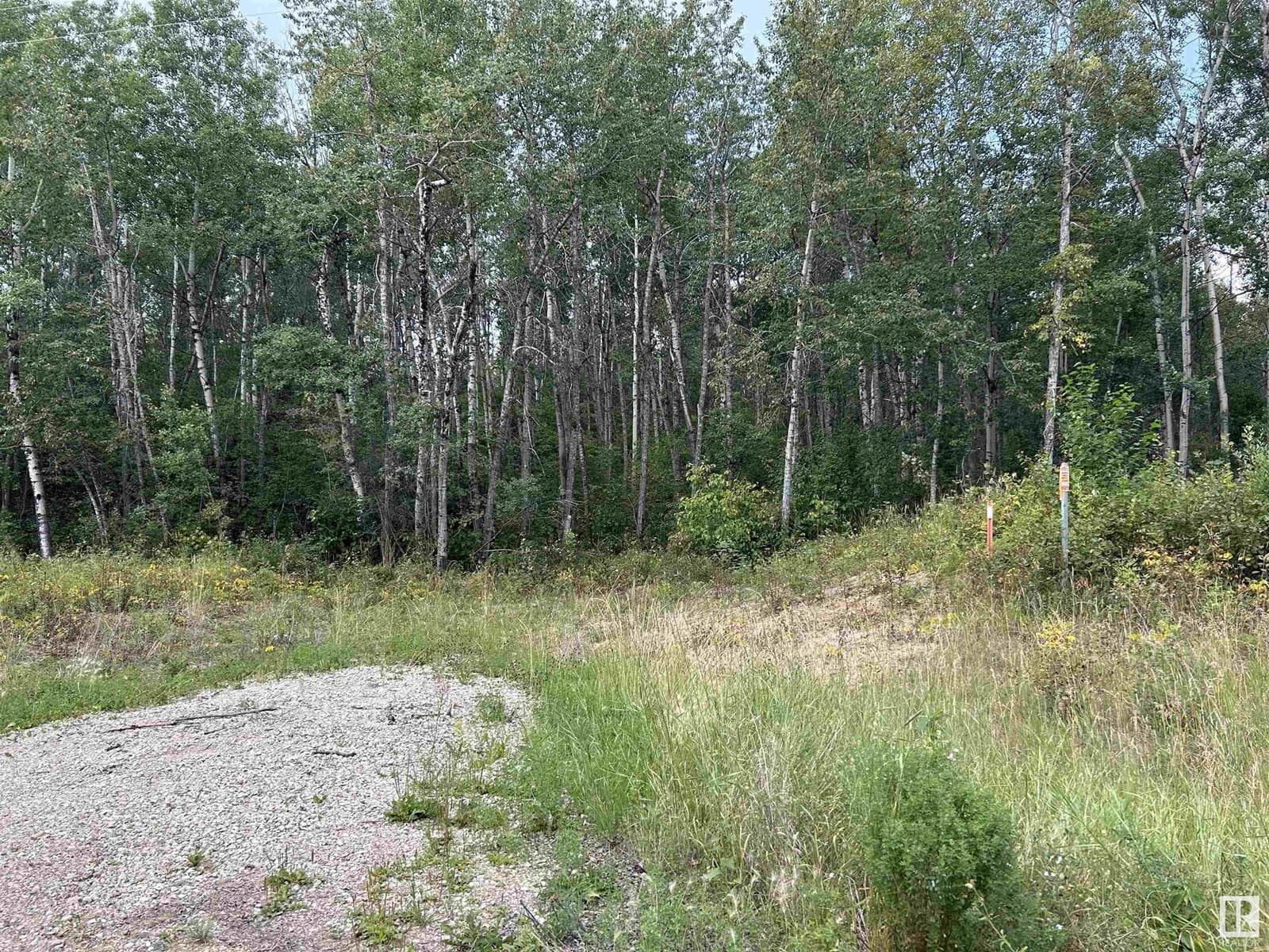 SE 26 62 1 W4 RGE RD 411A — photo 3