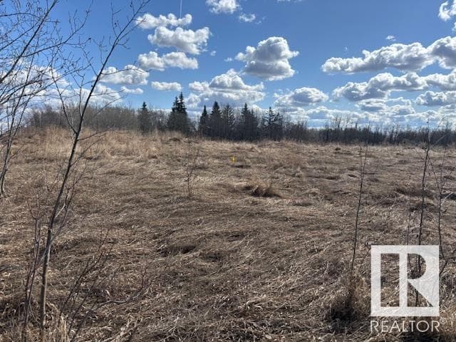 2103 ELLERSLIE RD SW photo 3