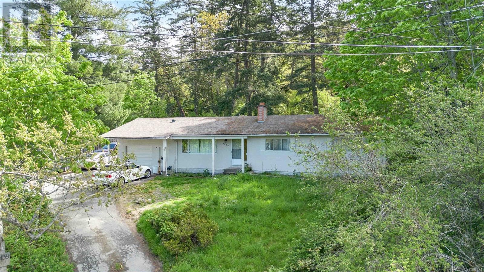 4439 Blenkinsop Rd photo 3