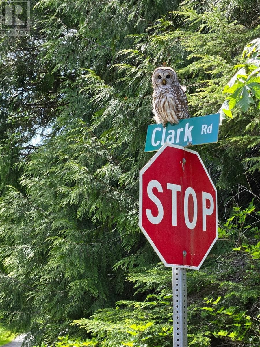 Lot 7 Clark Rd photo 3