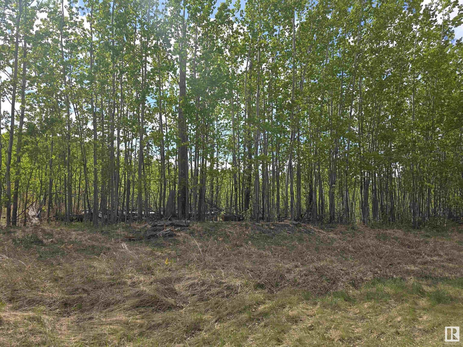 Lot 1 Plan 2221652 Southshore DR E — photo 4