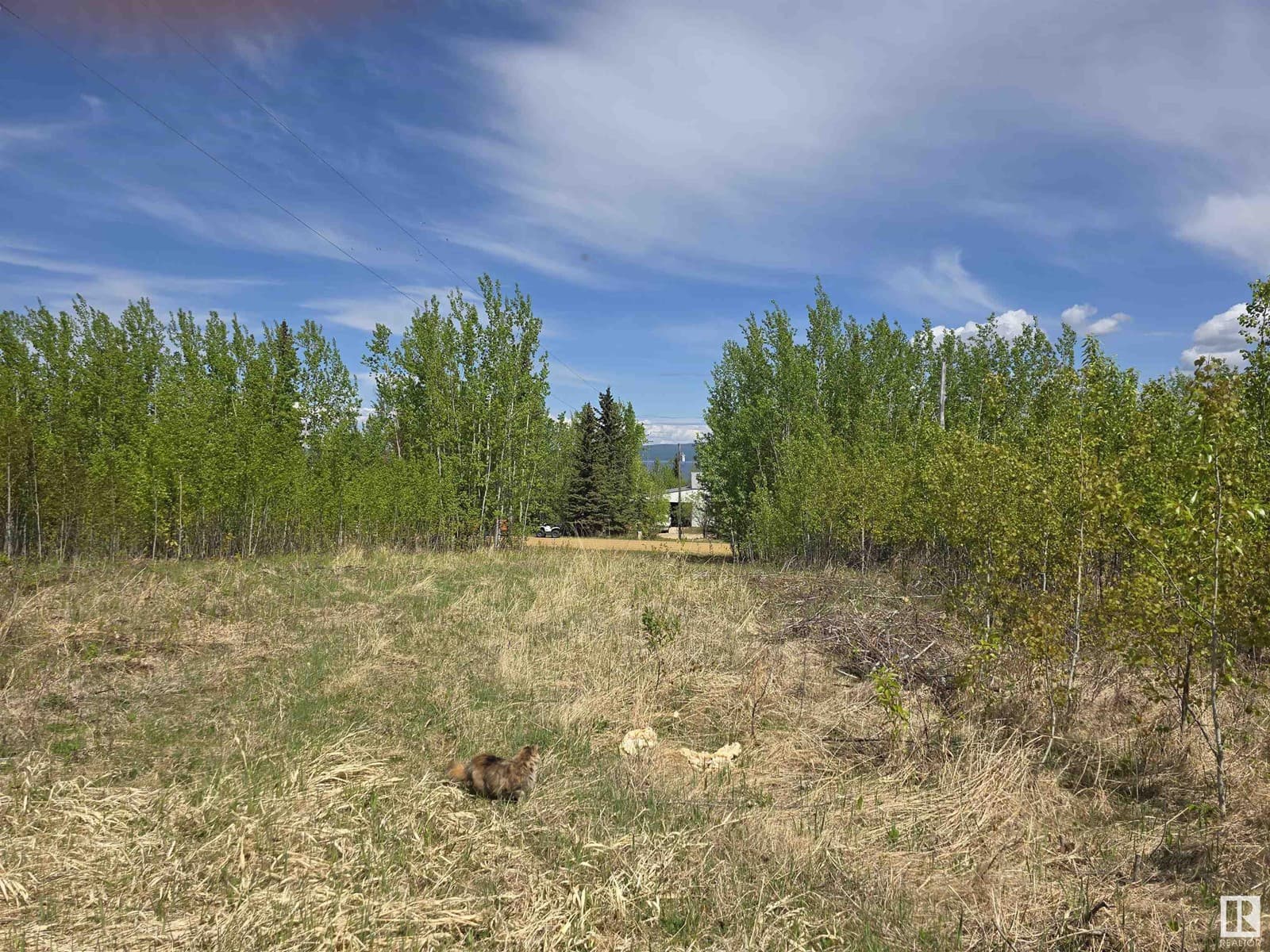 Lot 1 Plan 2221652 Southshore DR E — photo 5