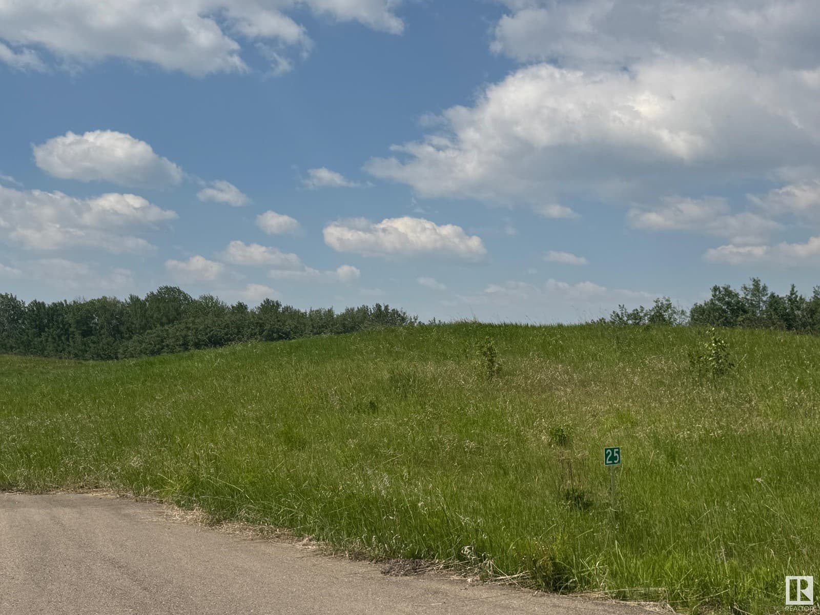 #25 53214 RGE ROAD 13 — photo 5