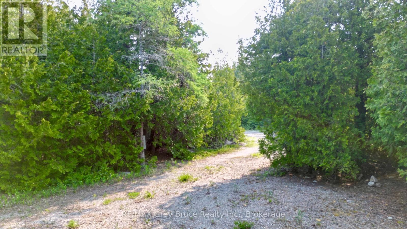 94 PEDWELL PT. DRIVE photo 3