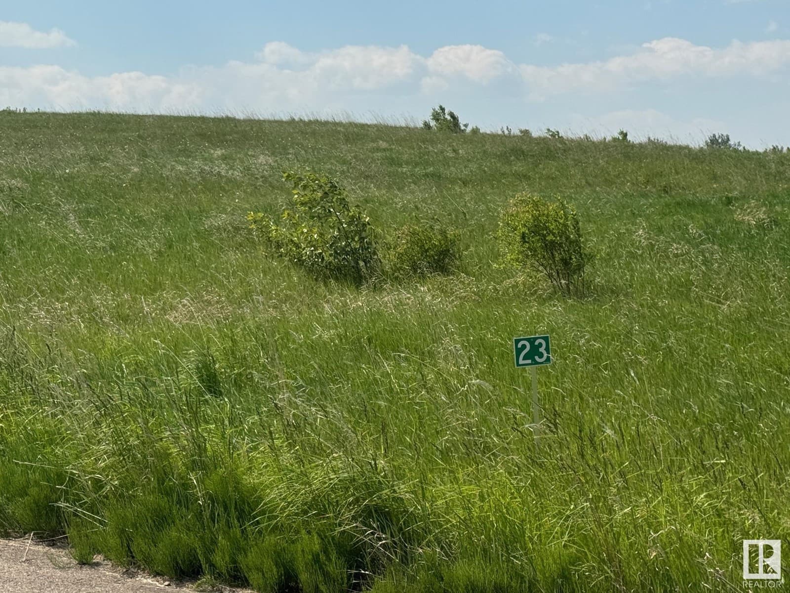 #23 53214 RGE ROAD 13 — photo 5