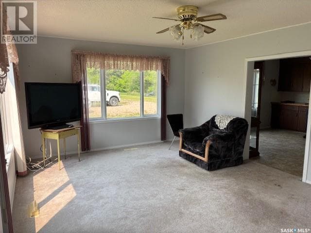 Chernoff Acreage photo 3