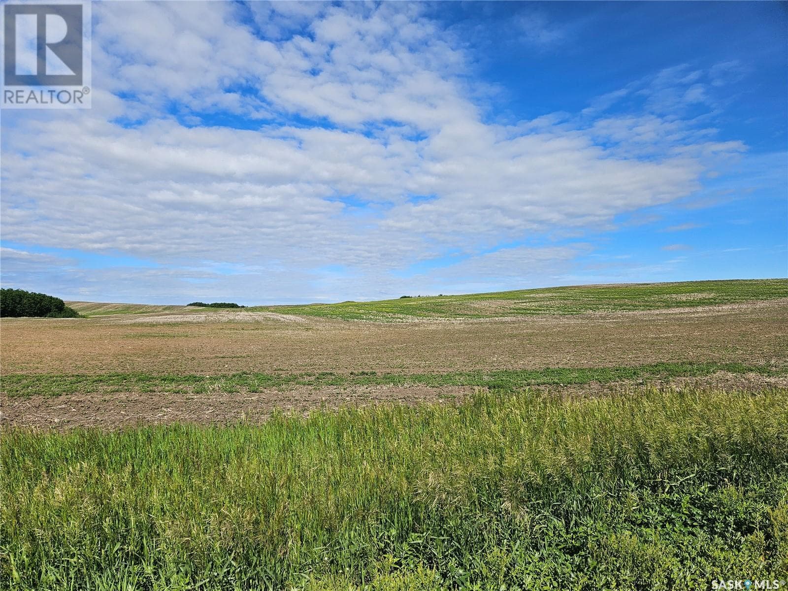 RM Douglas Land — photo 4