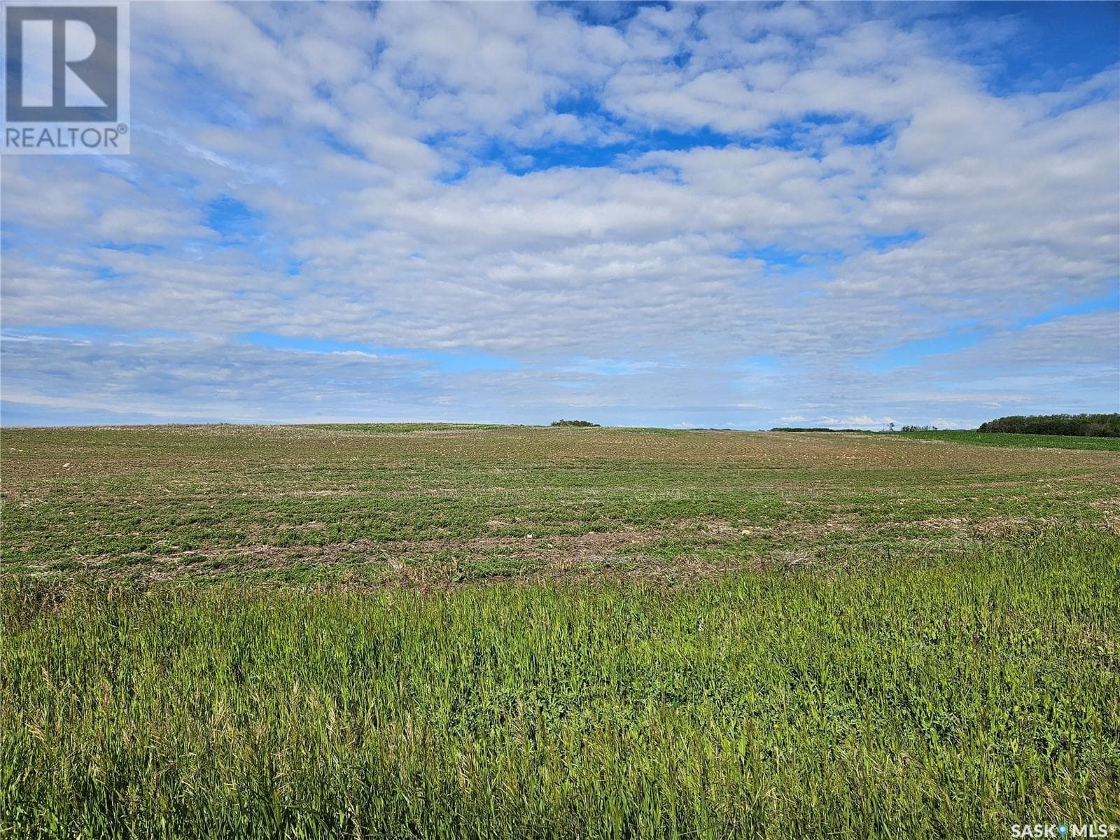 RM Douglas Land — photo 5