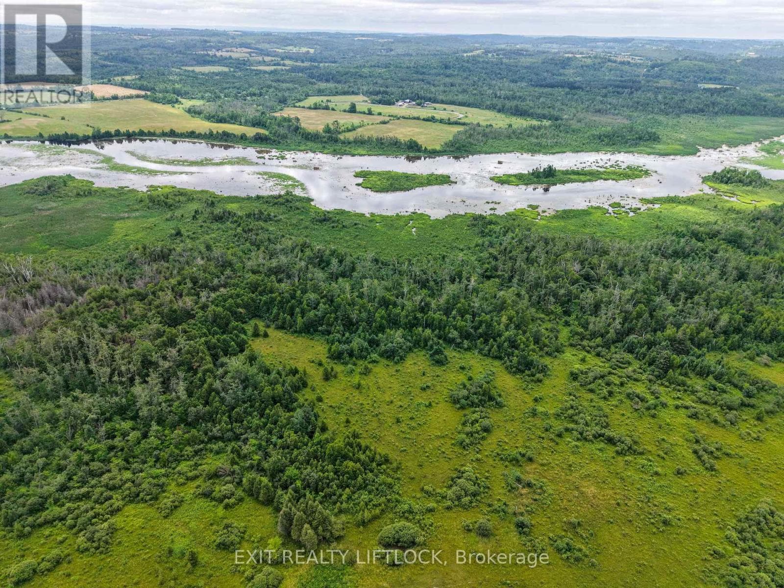 3756 HWY 7 photo 5