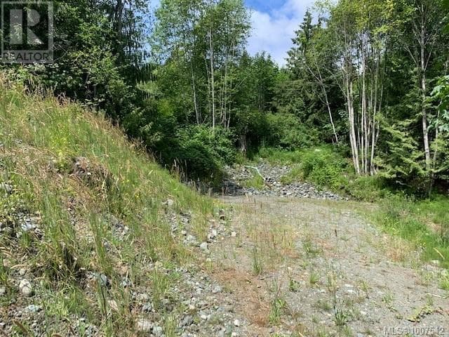 167 River Rd photo 4