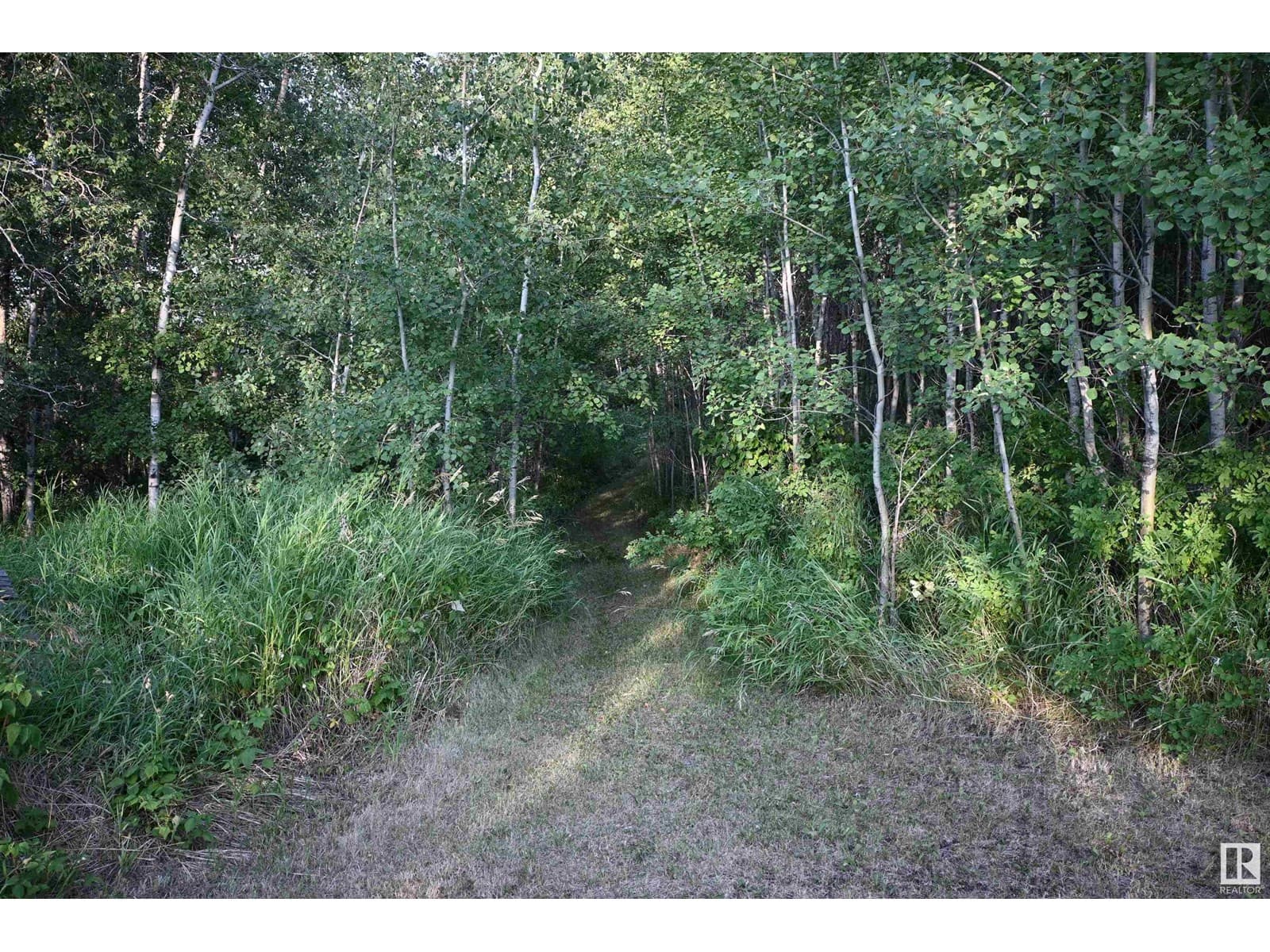61023 Rg Rd 451 — photo 3