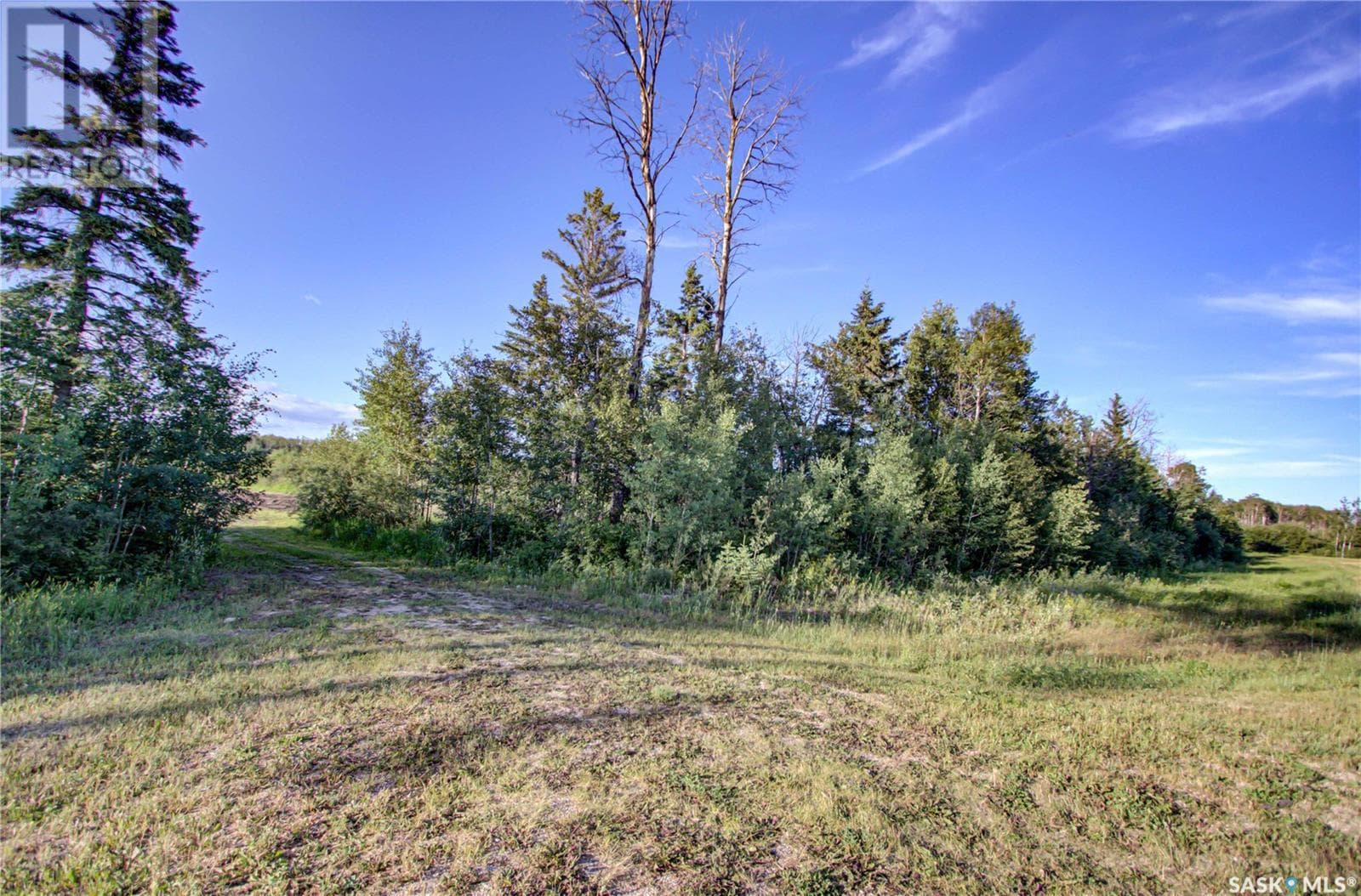 2.98 AC Titled Lot 4 Kipabiskau Lake Area — photo 5