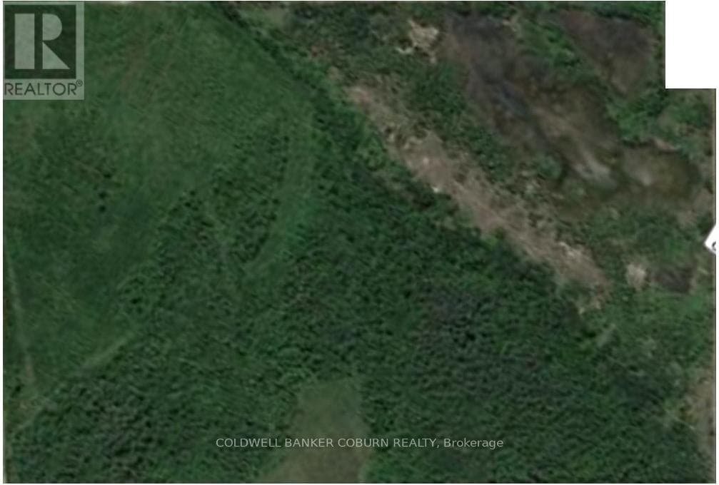 4120 COUNTY RD 43 ROAD W photo 2
