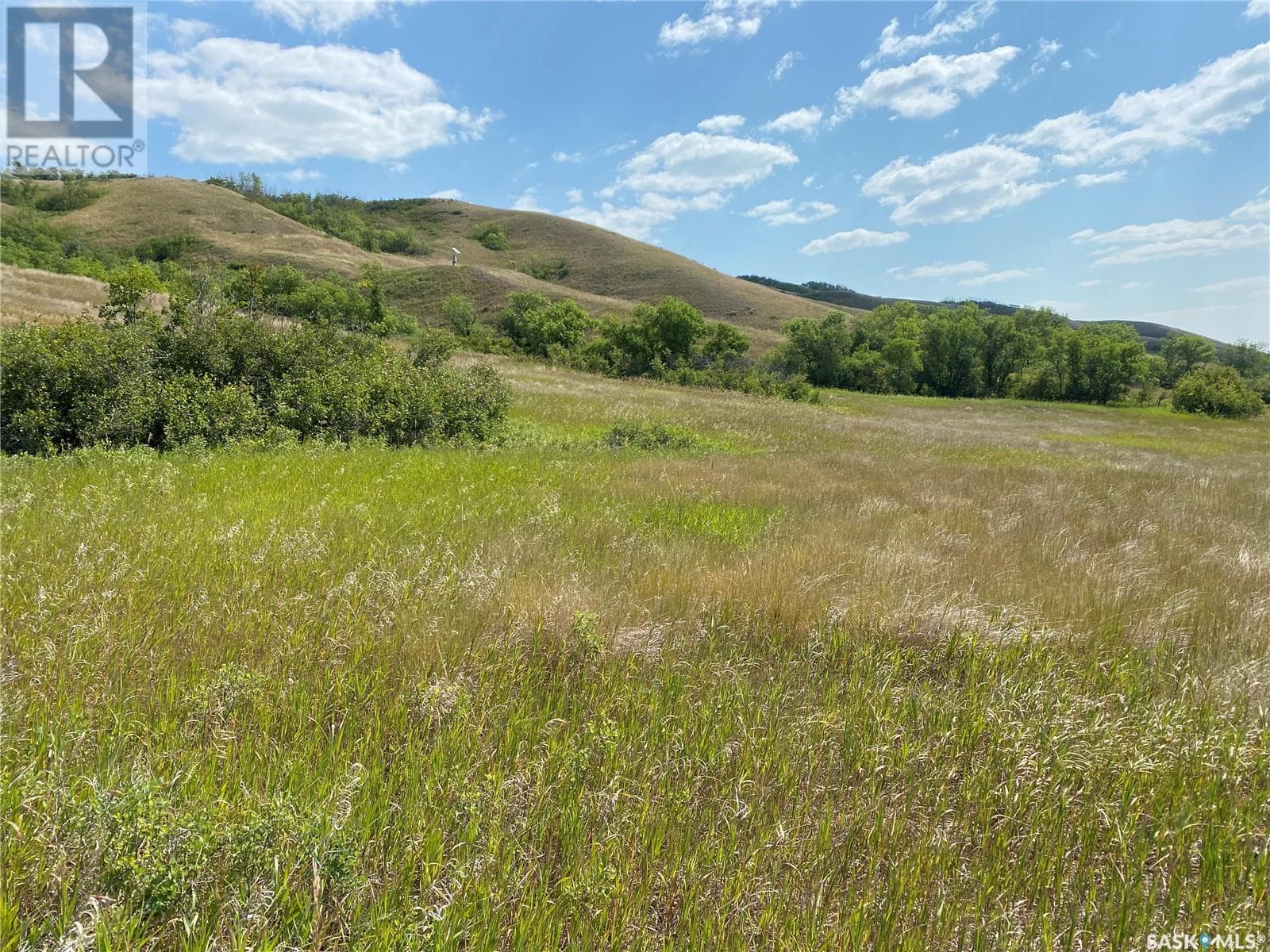 Lebret Acreage — photo 4