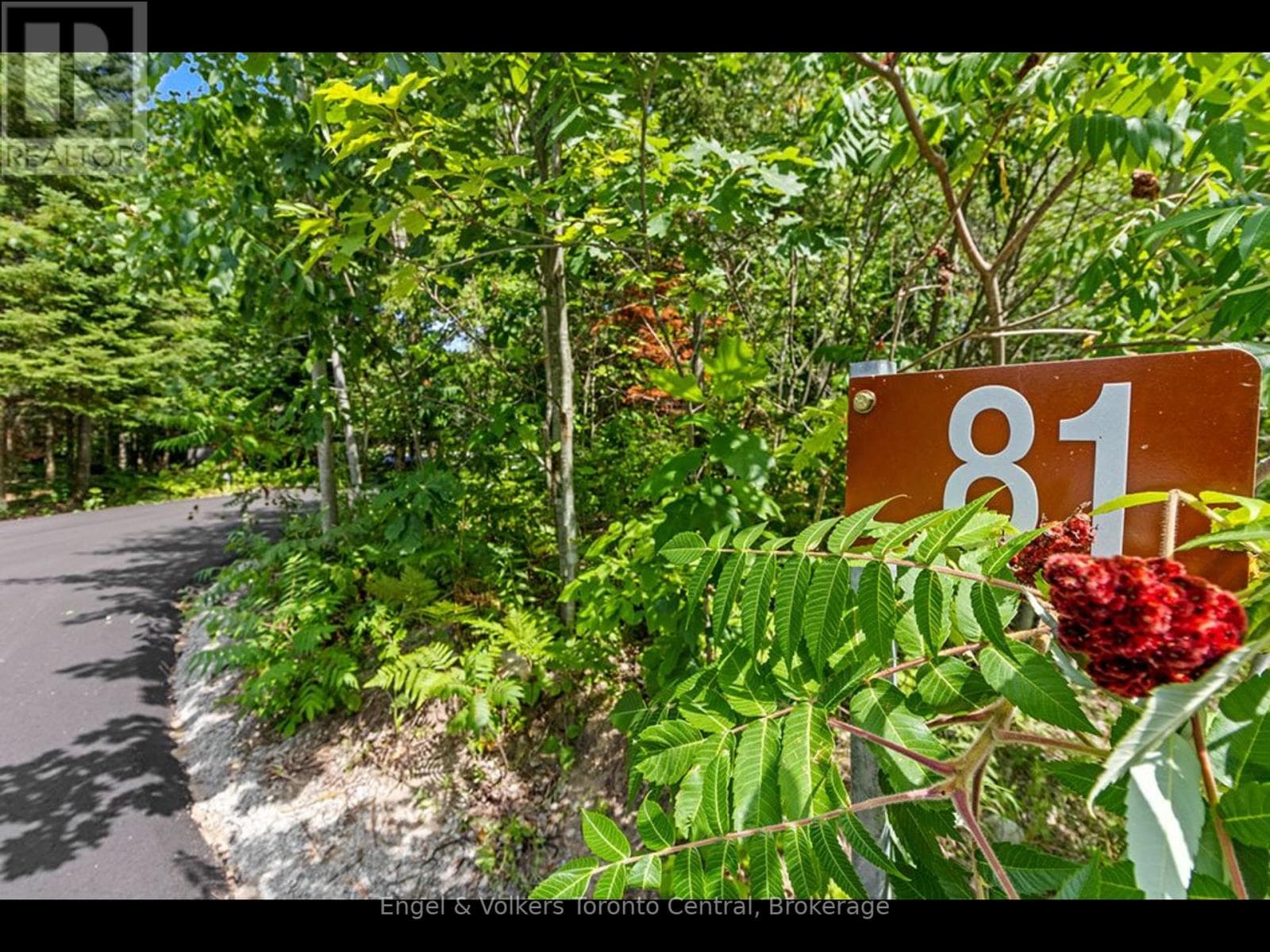 81 SPRUCE STREET photo 5