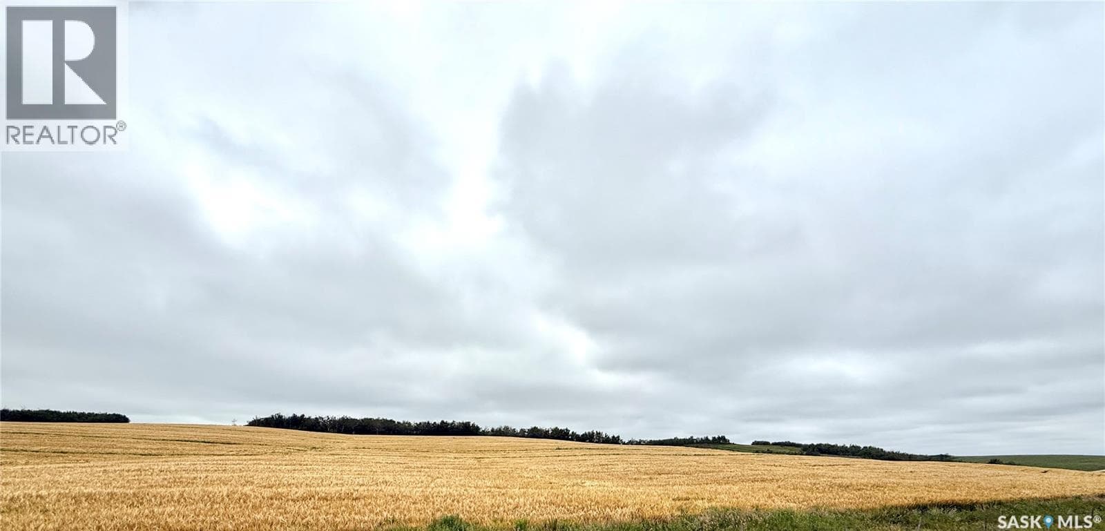 RM of Douglas Acres — photo 2