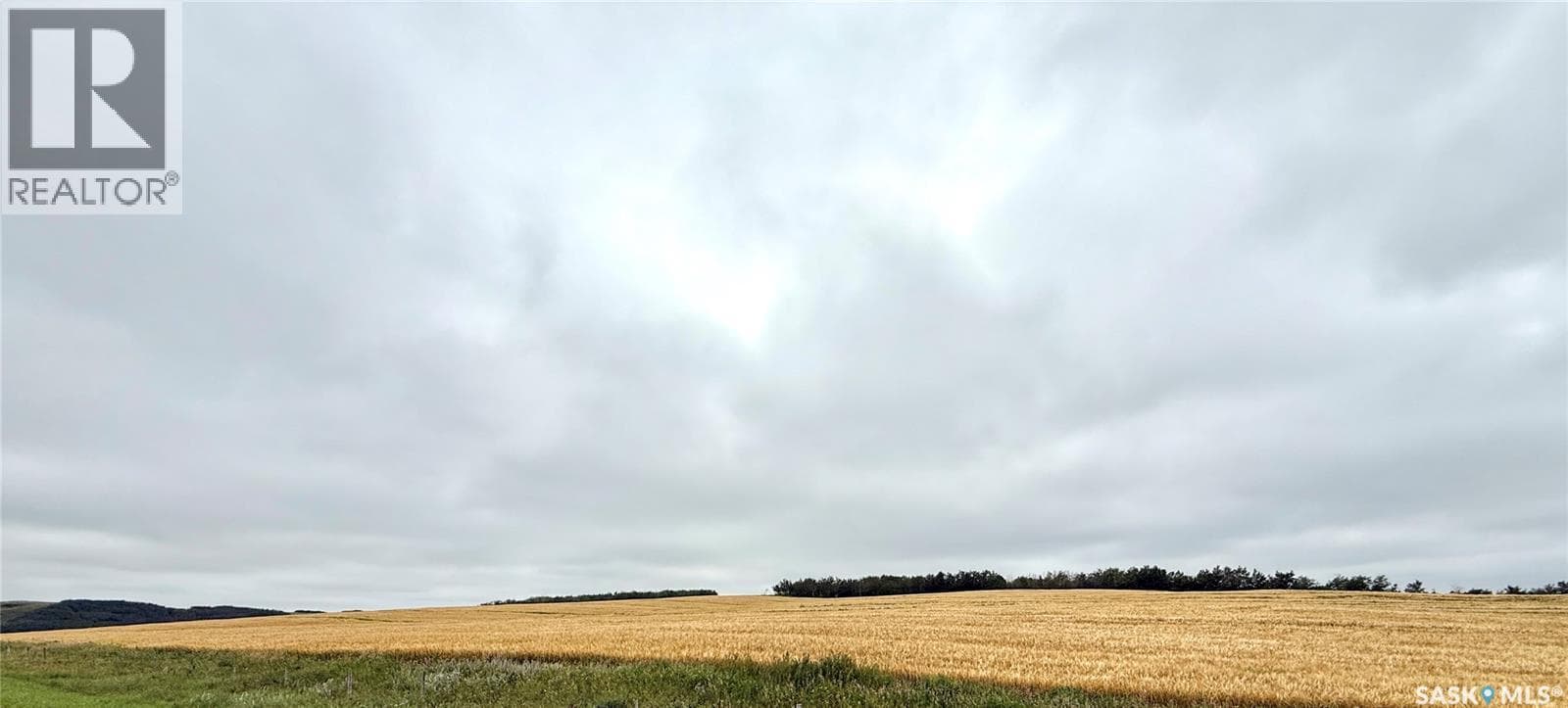 RM of Douglas Acres — photo 3