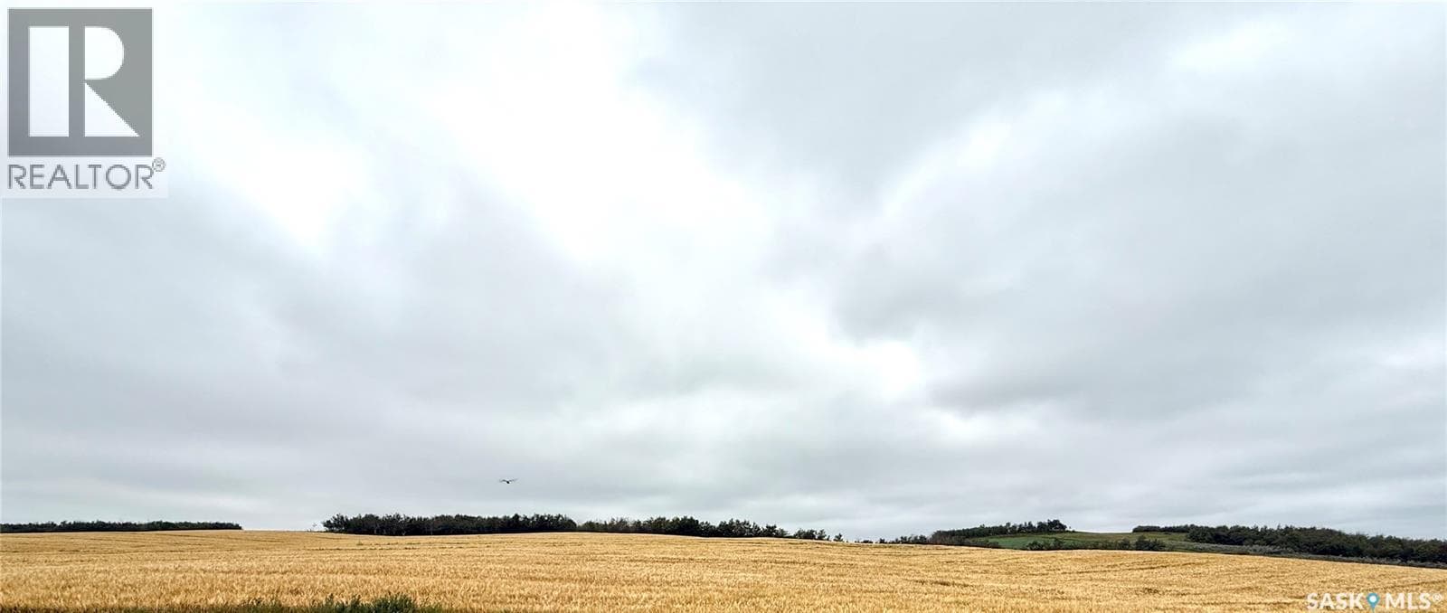 RM of Douglas Acres — photo 4