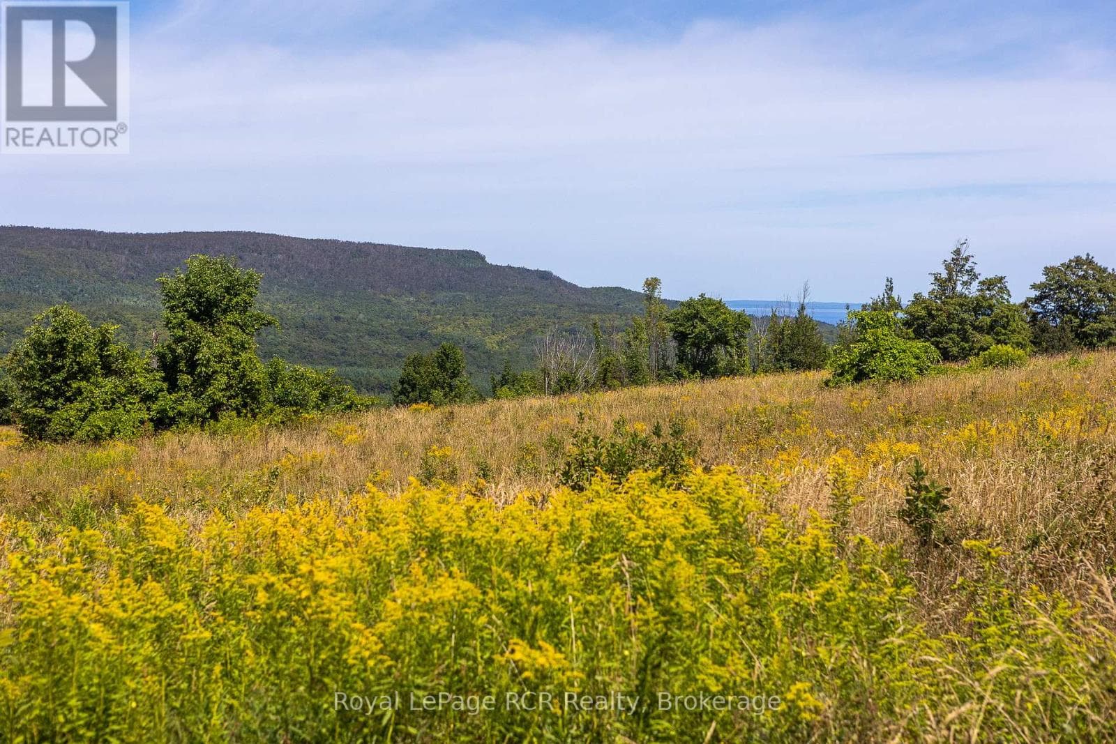 634931 PRETTY RIVER ROAD photo 3