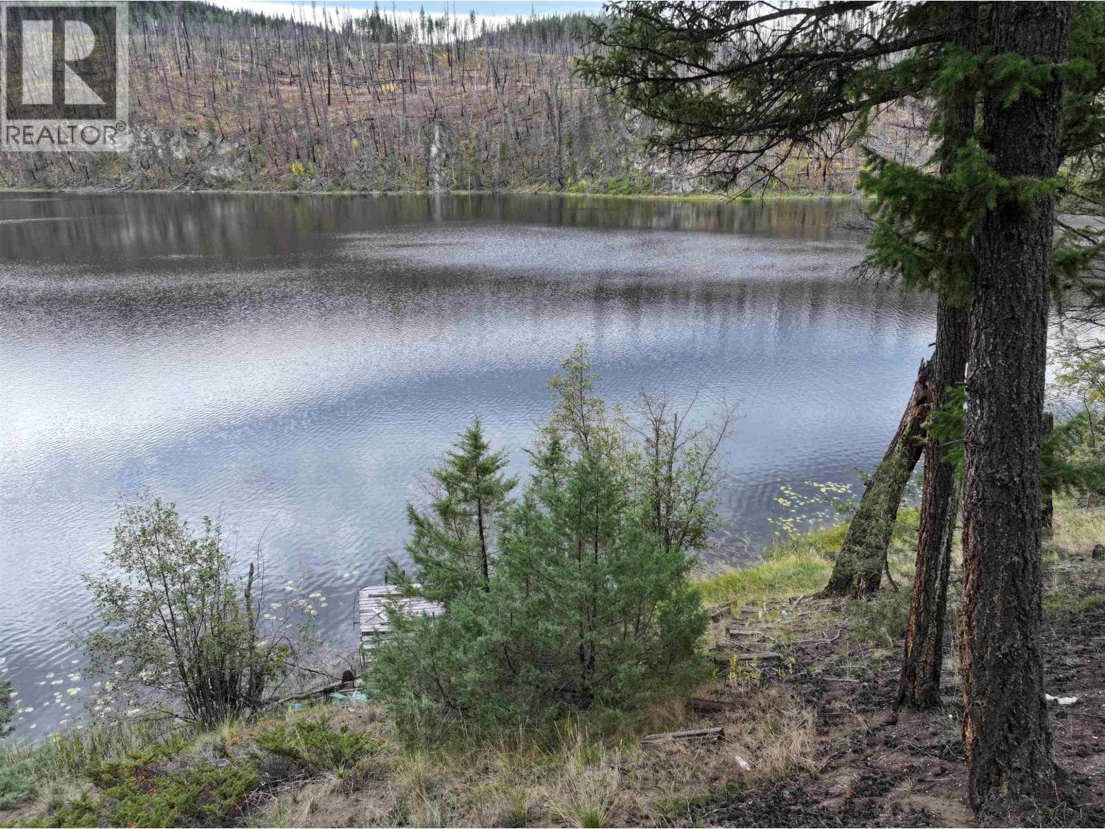 7252 E YOUNG LAKE ROAD photo 2