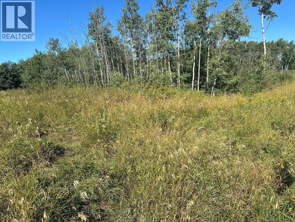 Juda Road — photo 2