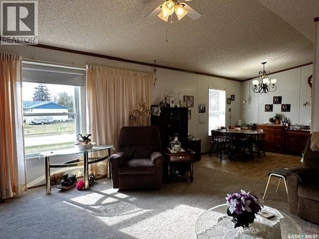 215 Louis STREET photo 4