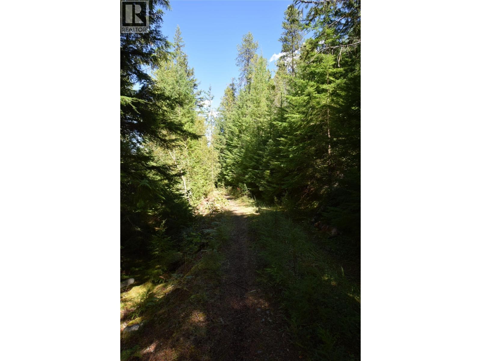 Highway 6 photo 3