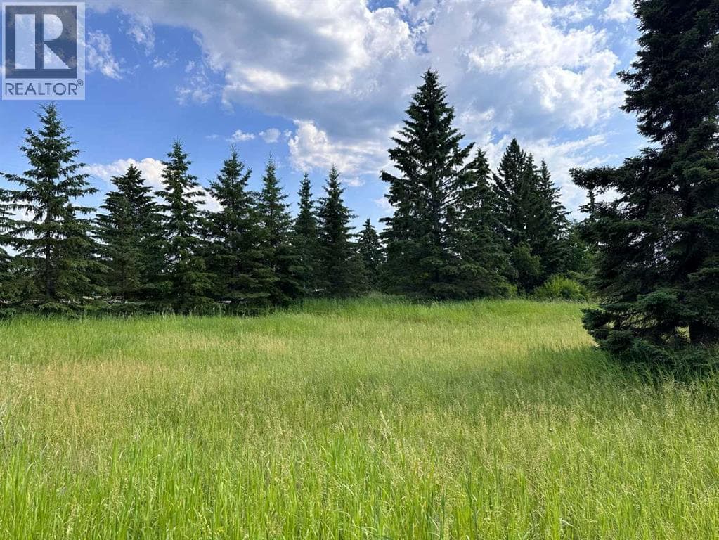 106, 15249 TWP RD 665A Township — photo 4