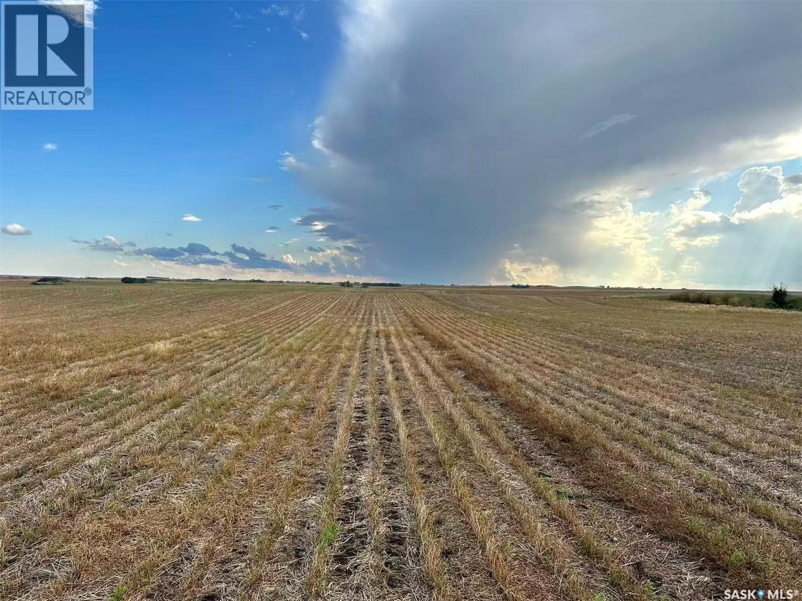 961 Acres Farmland in RM Morris — photo 5