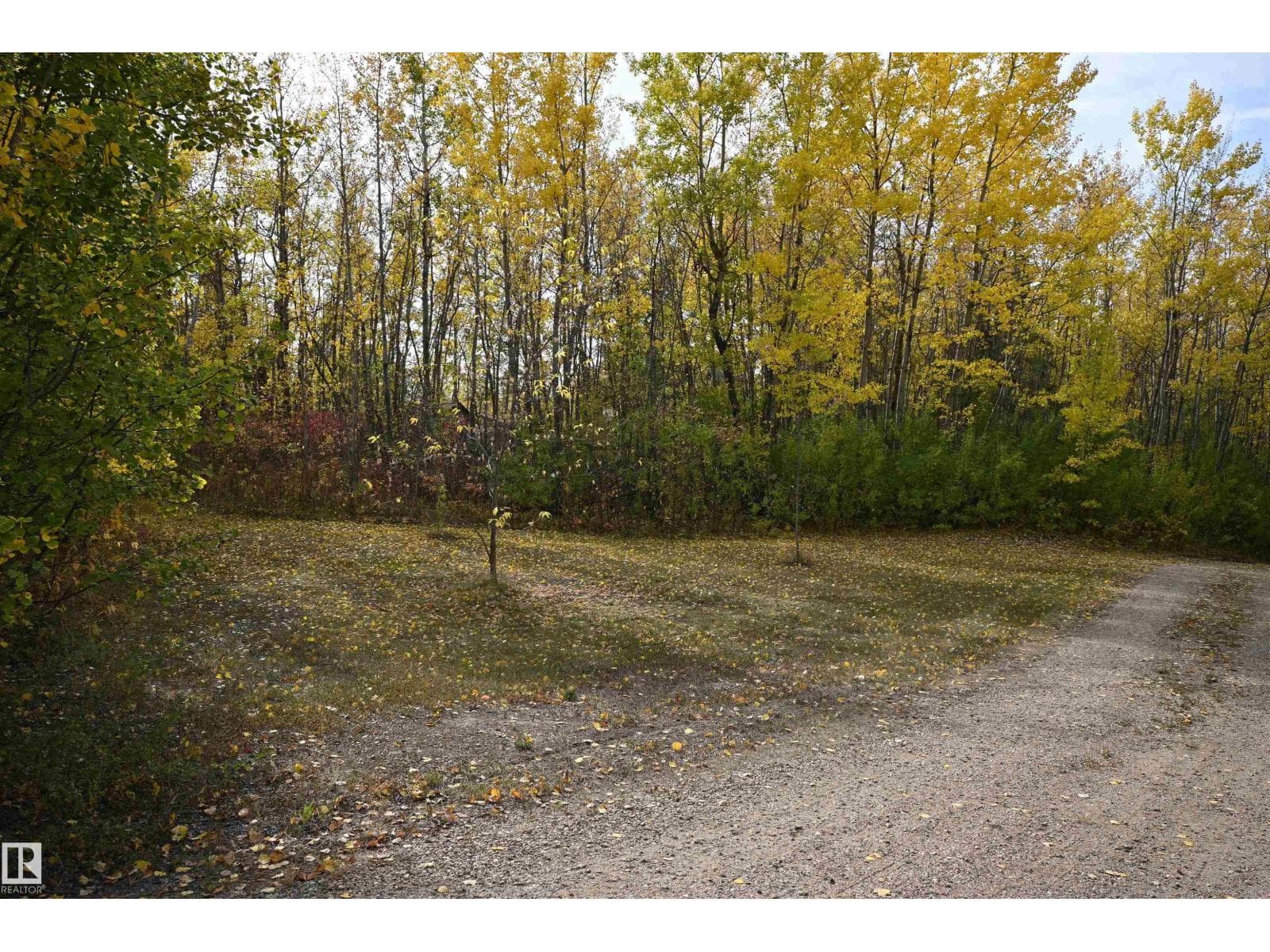 218 58532 Range Road 113 — photo 3