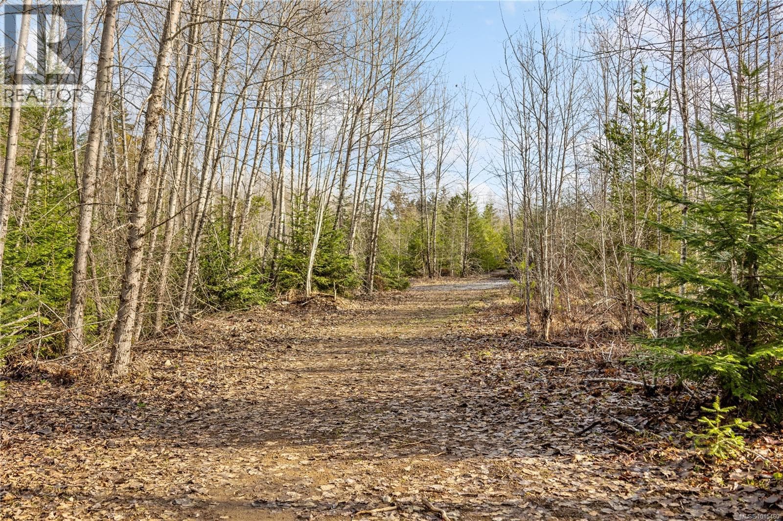 2745 Shaver Rd photo 2