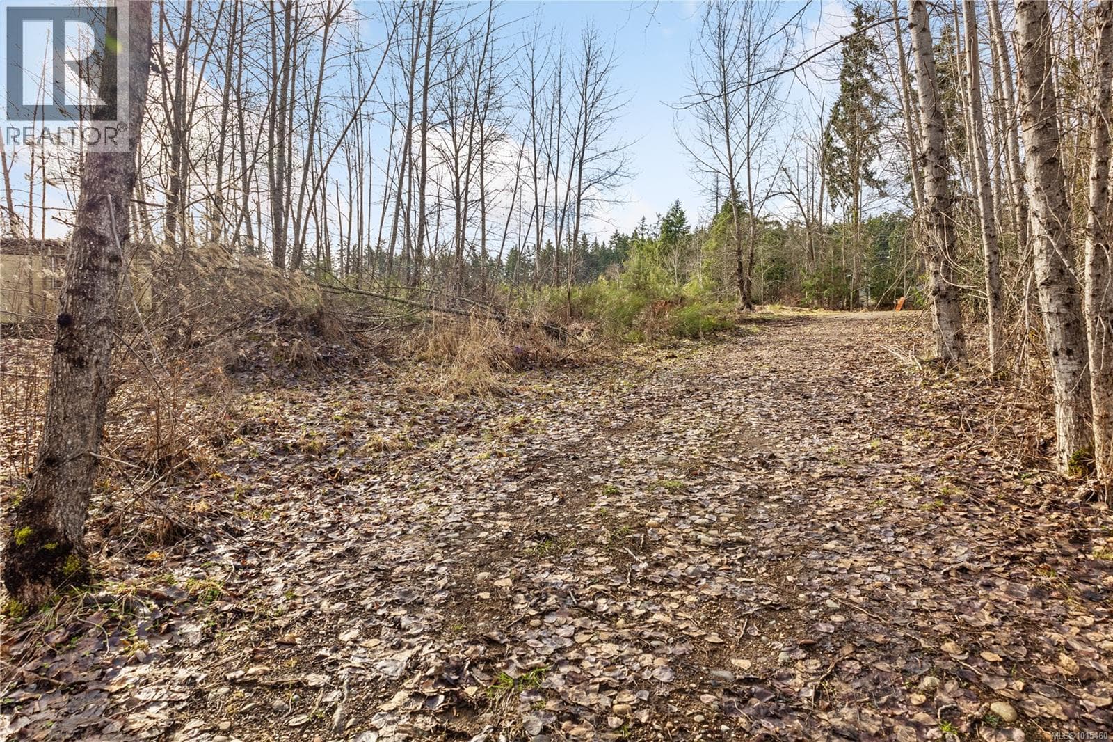 2745 Shaver Rd photo 4
