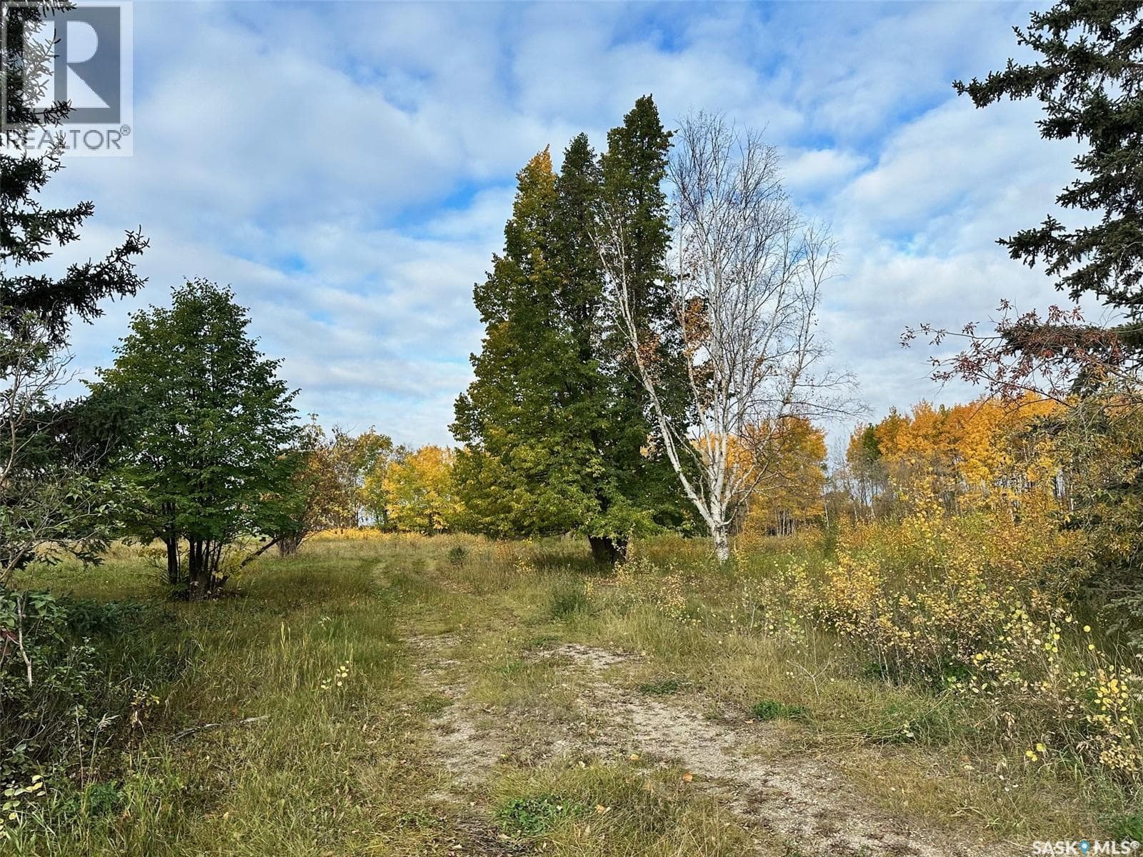 Neu Acreage — photo 2