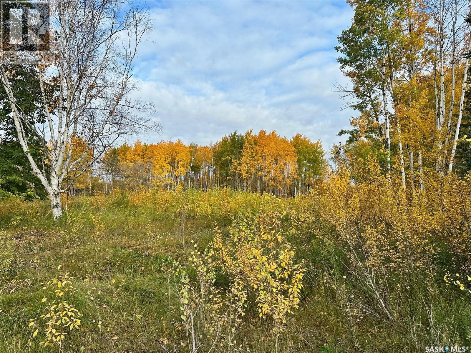 Neu Acreage — photo 3