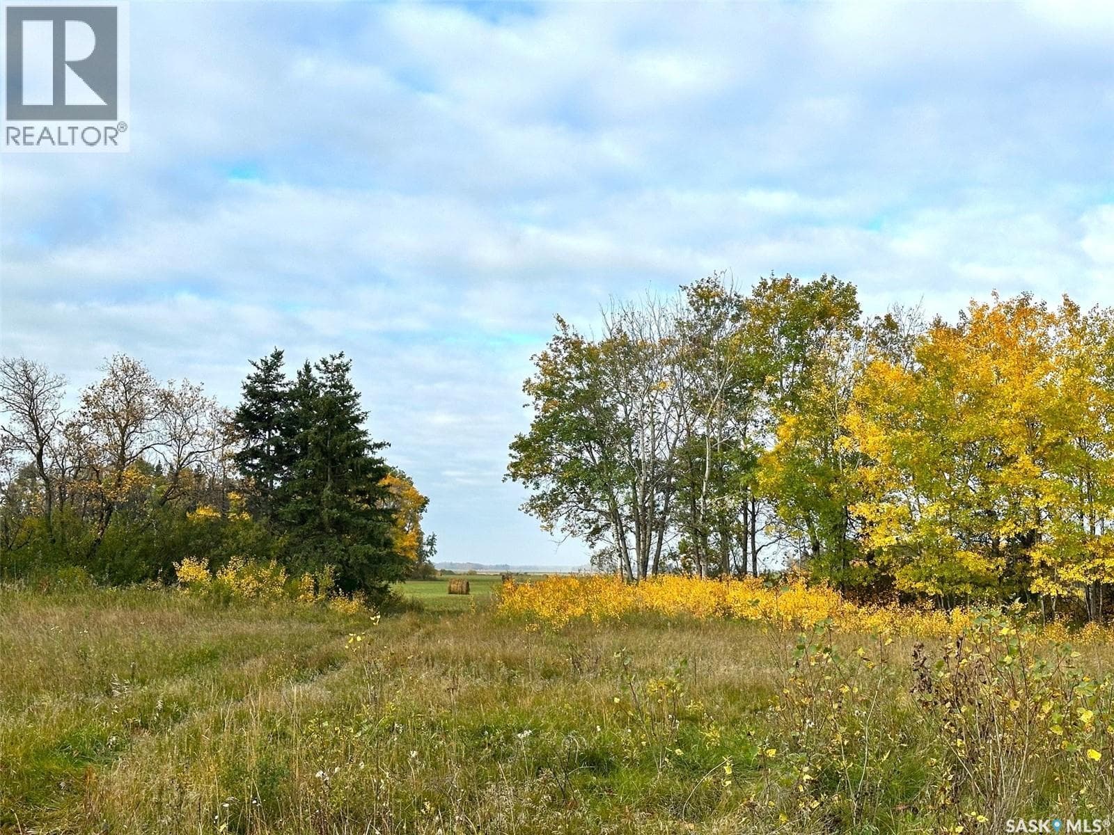 Neu Acreage — photo 5