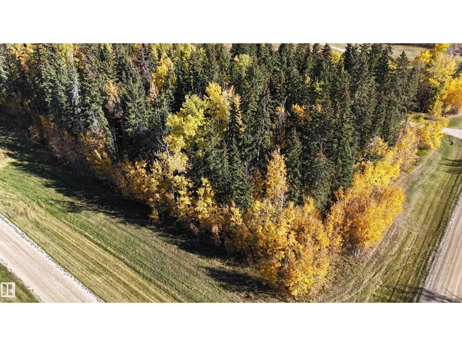 #111 49505 RR 80 — photo 3