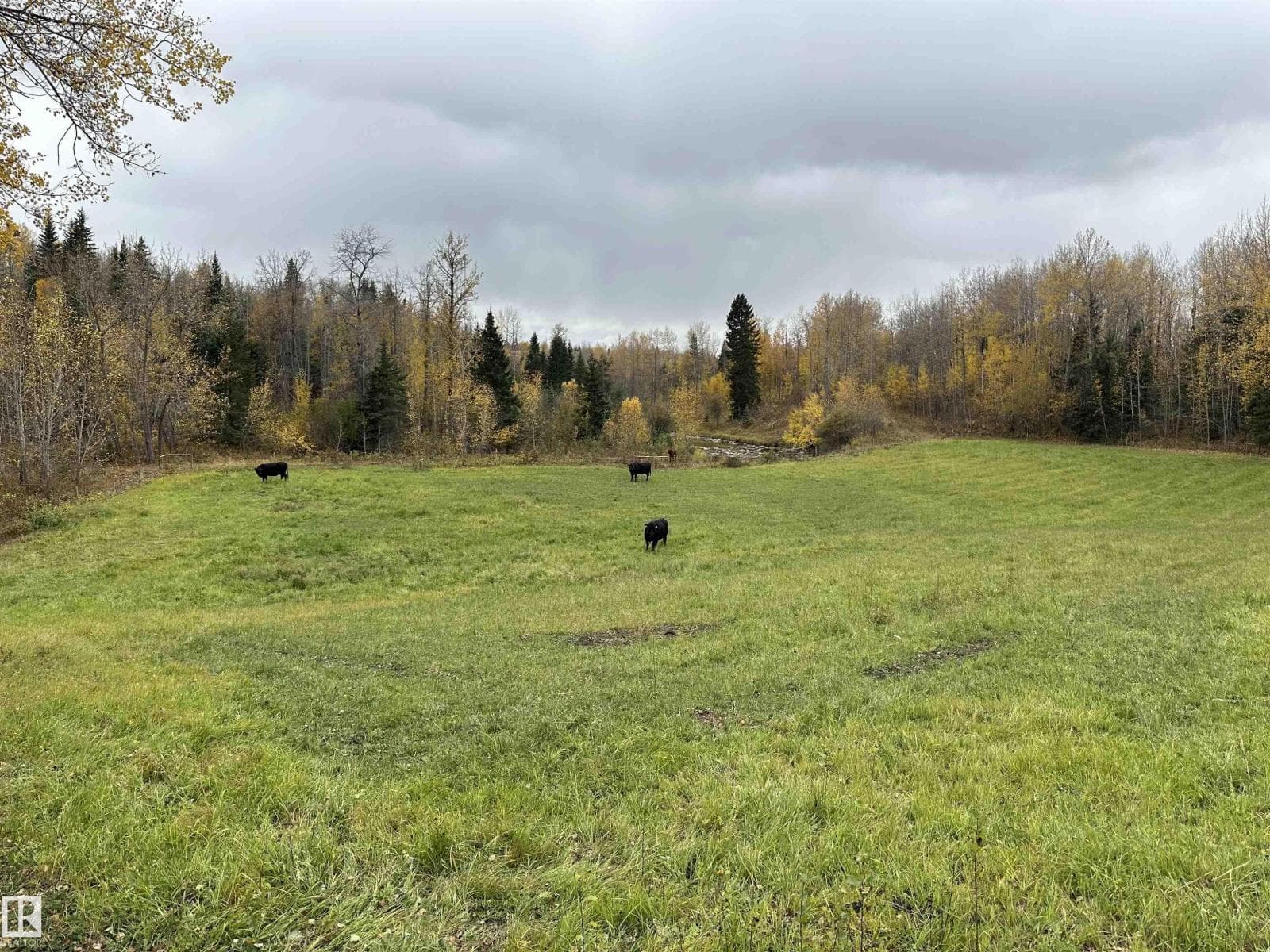NW 18-49-5 W5M — photo 2