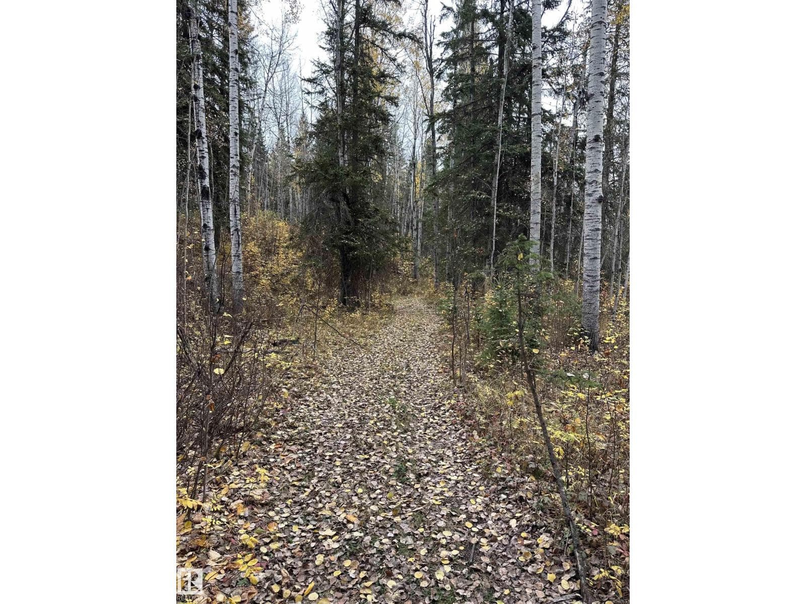 NW 18-49-5 W5M — photo 5