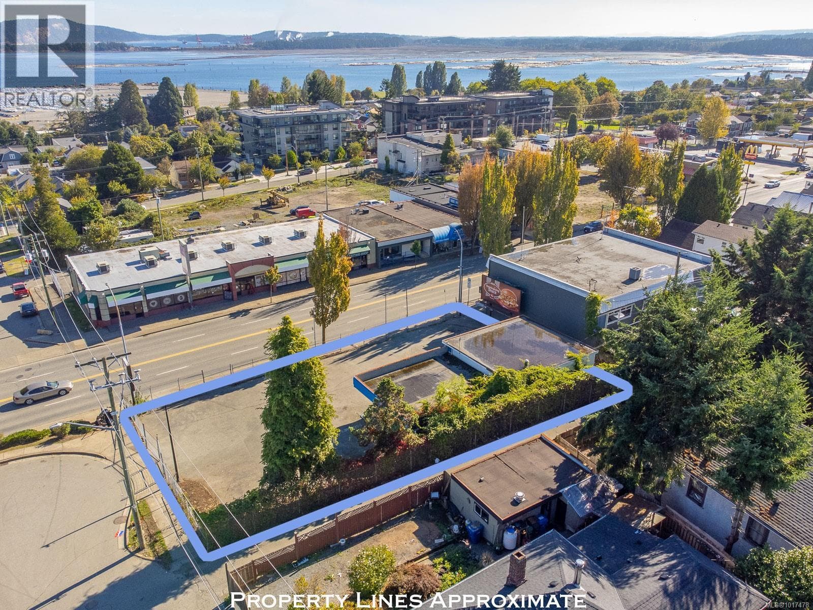 110 Nicol St photo 3