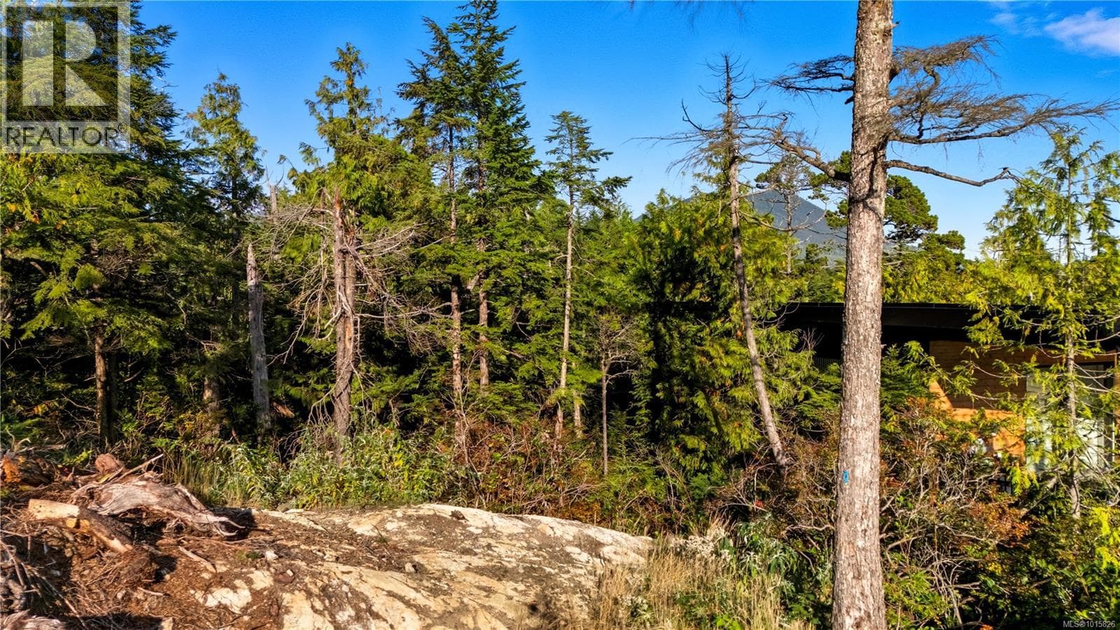 vacant land at 851 Lorne White Pl — $345,000