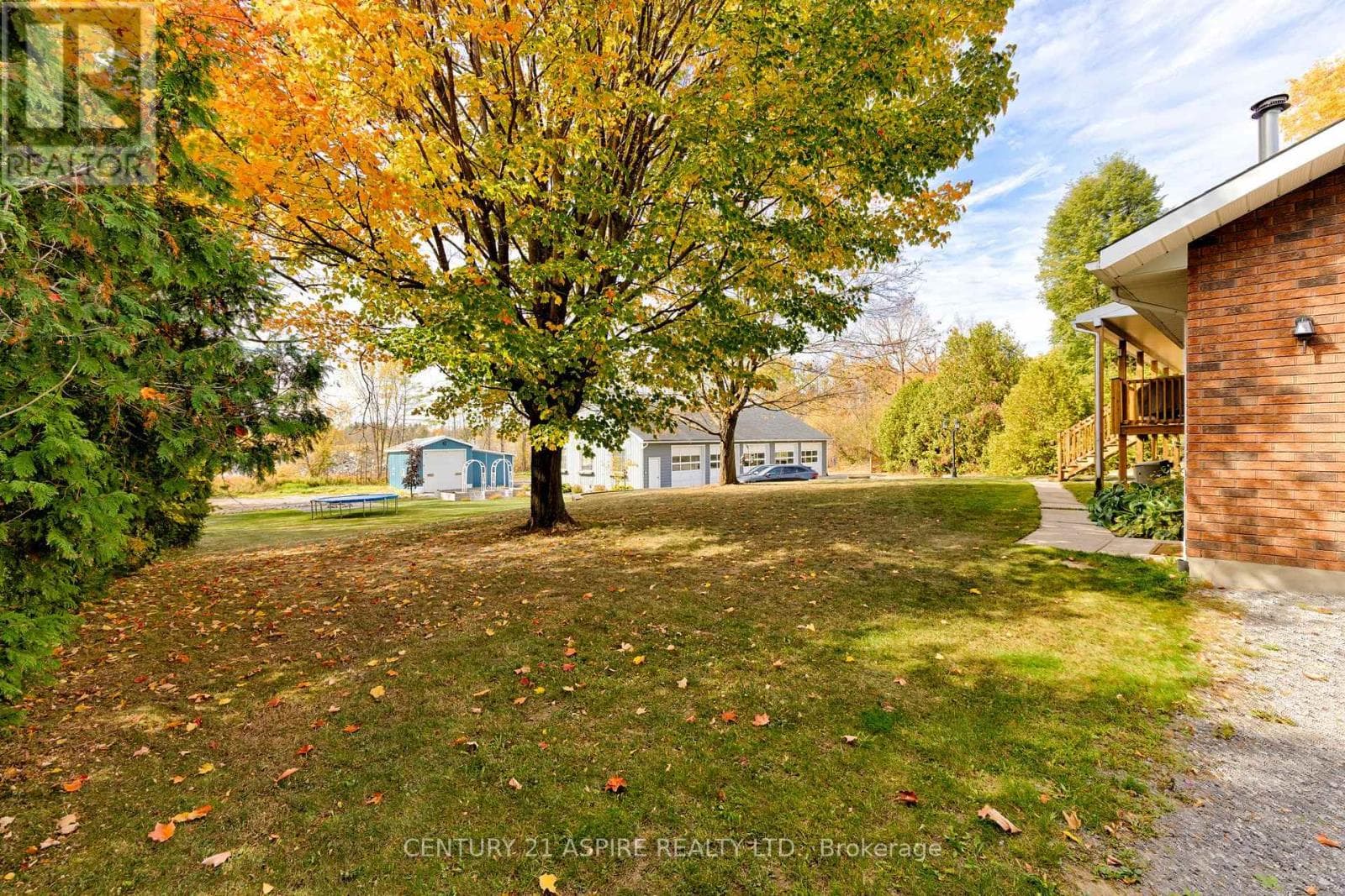 75 PEMBROKE STREET photo 4