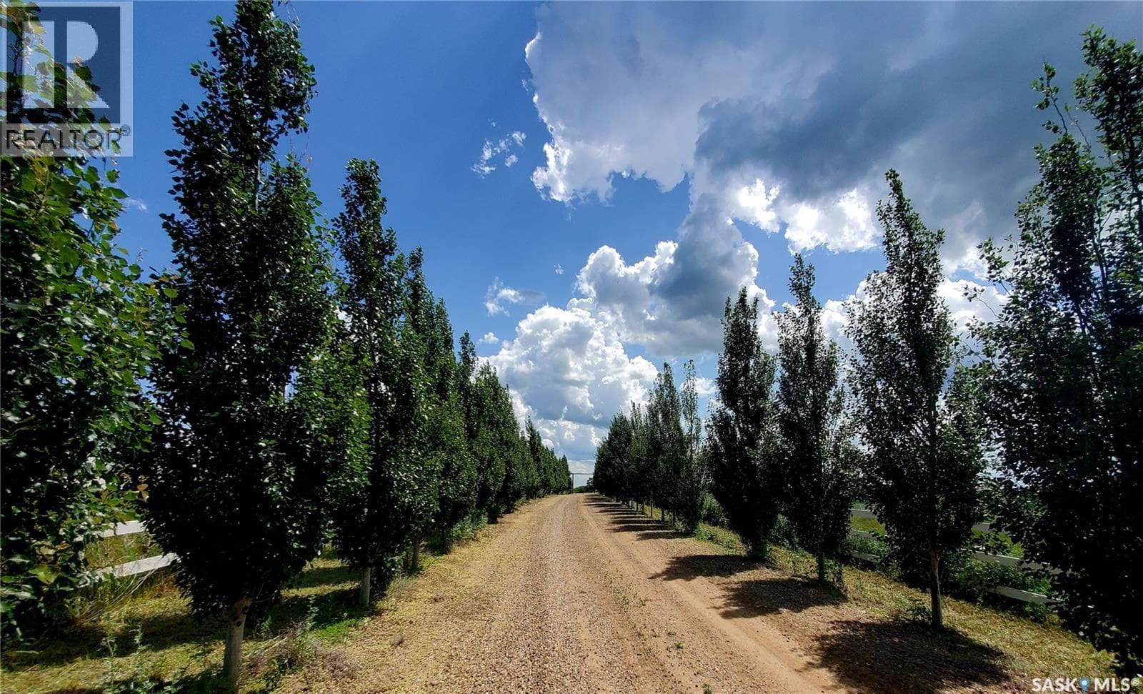Zolinski Acreage — photo 3